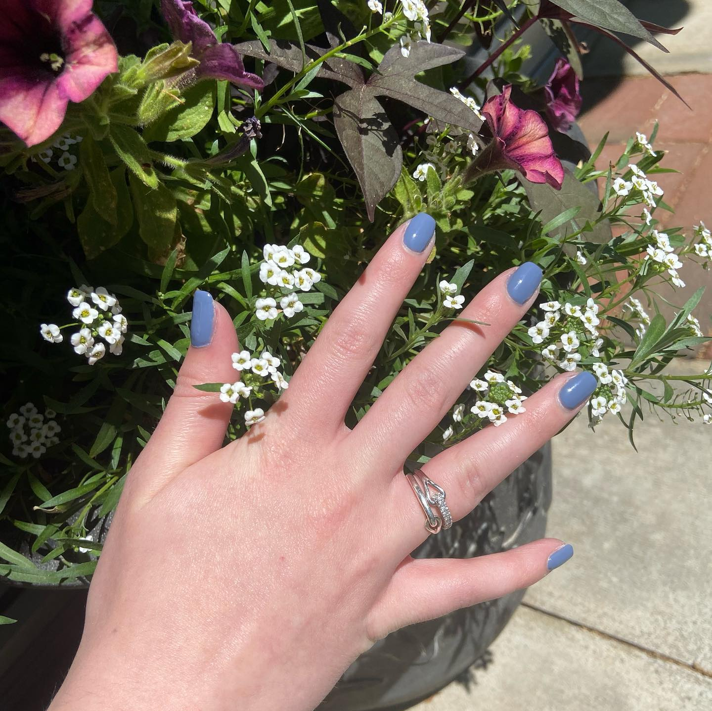 Zealous Beauty Bar nail photo 4
